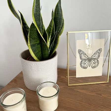 Old Town Heart Xvi - Tamka *