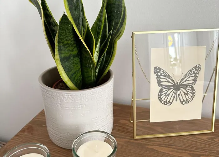 Old Town Heart Xvi - Tamka *